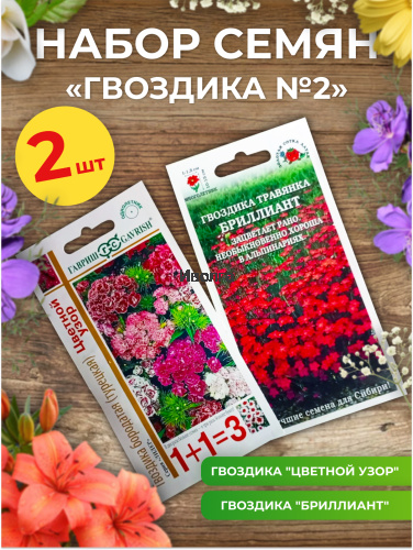 Набор семян цветов "Гвоздика №2" Набор семян цветов "Гвоздика №2"