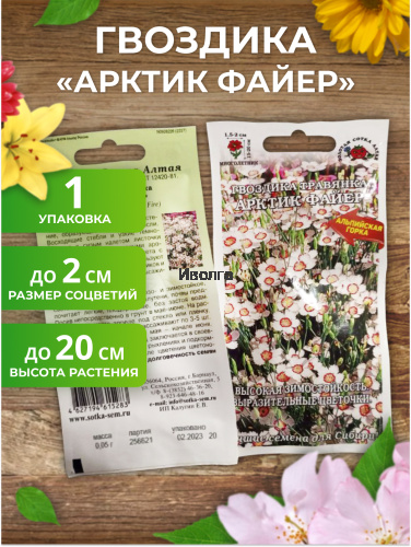 Набор семян цветов "Гвоздика №7" фото 2 Набор семян цветов "Гвоздика №7" фото 2