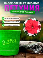 Набор для выращивания петунии "Дримс Ред Пикоти"