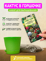 Набор для выращивания "Кактус"
